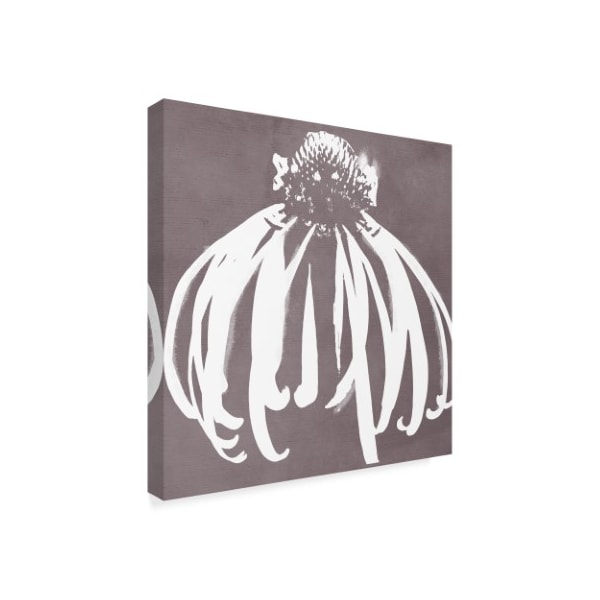 Color Bakery 'Cone Flower' Canvas Art,14x14